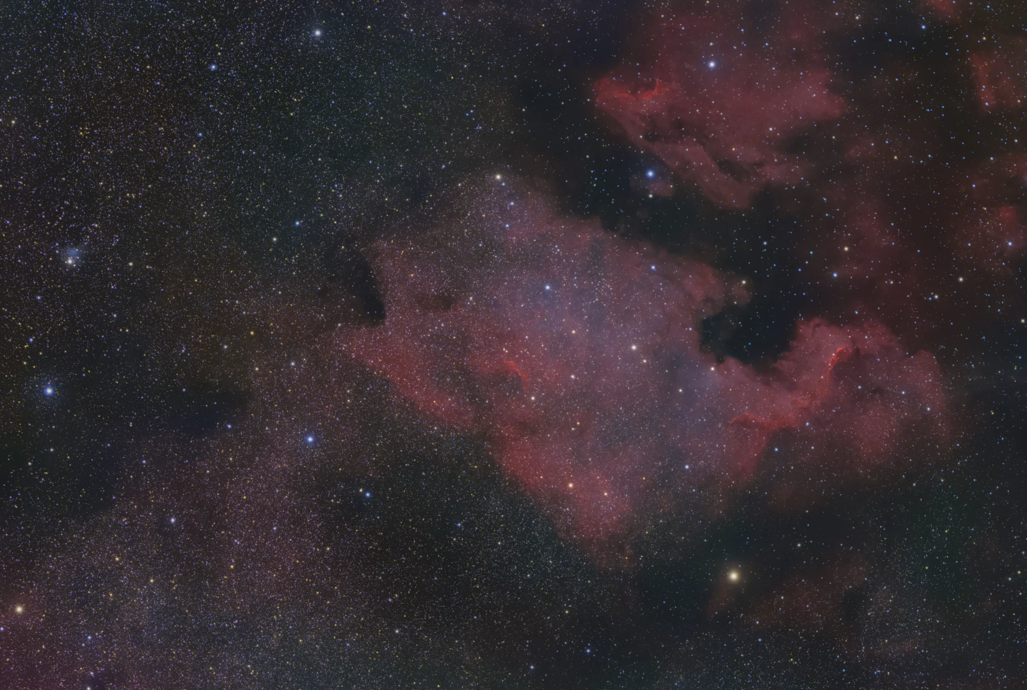 North America Nebula — Adam Krypel