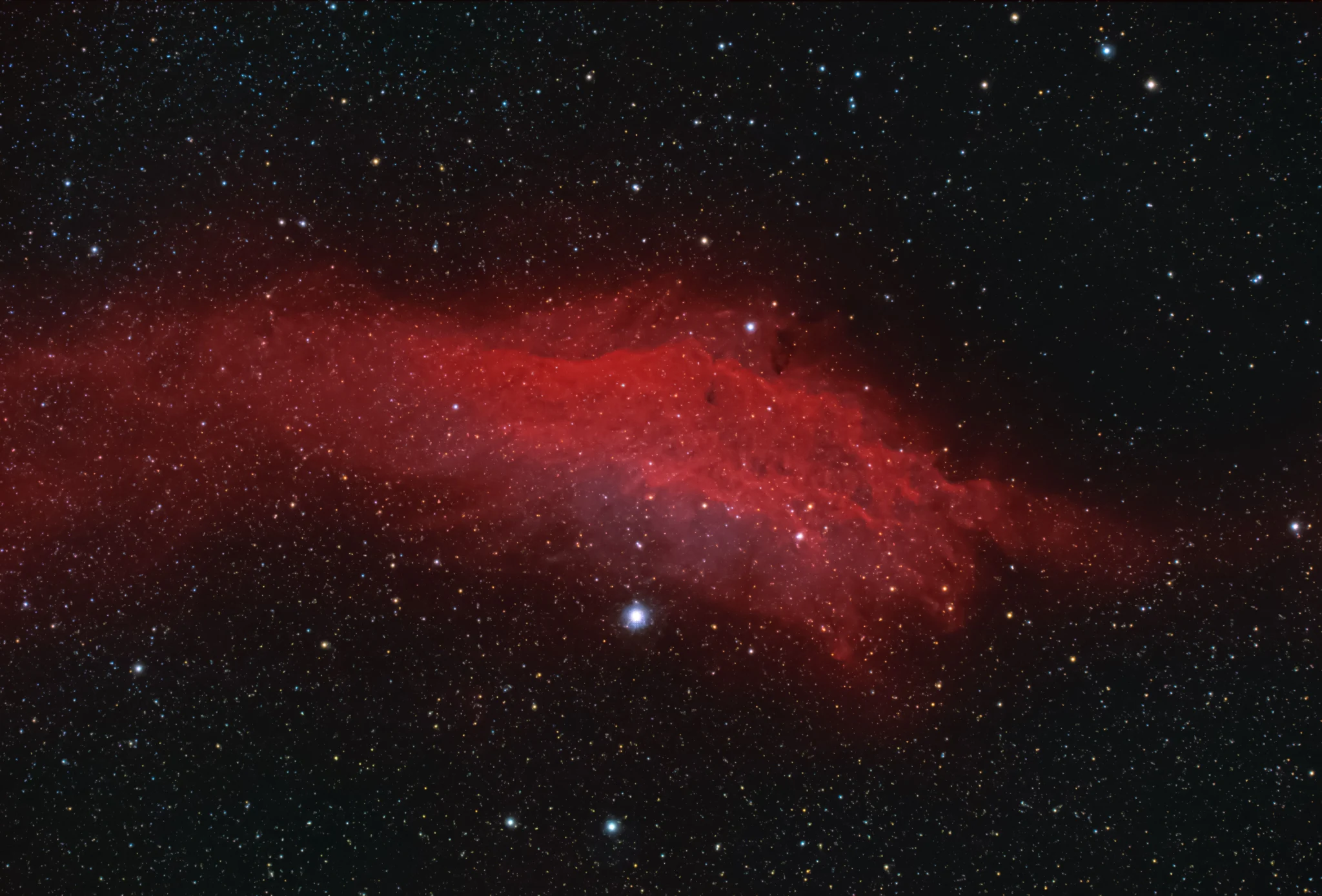 California Nebula — Adam Krypel