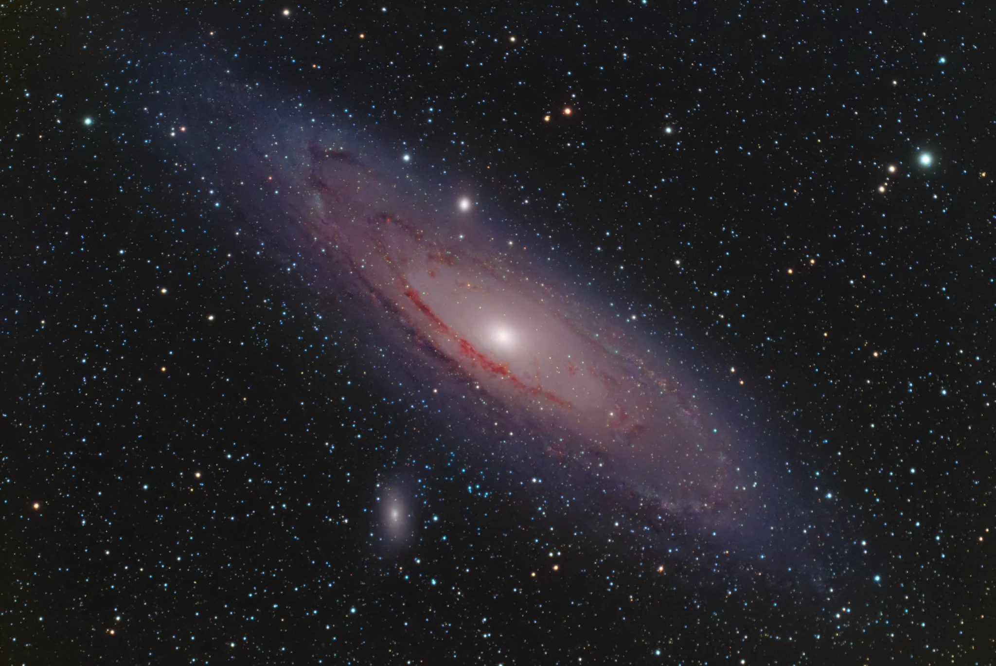 Andromeda — Adam Krypel