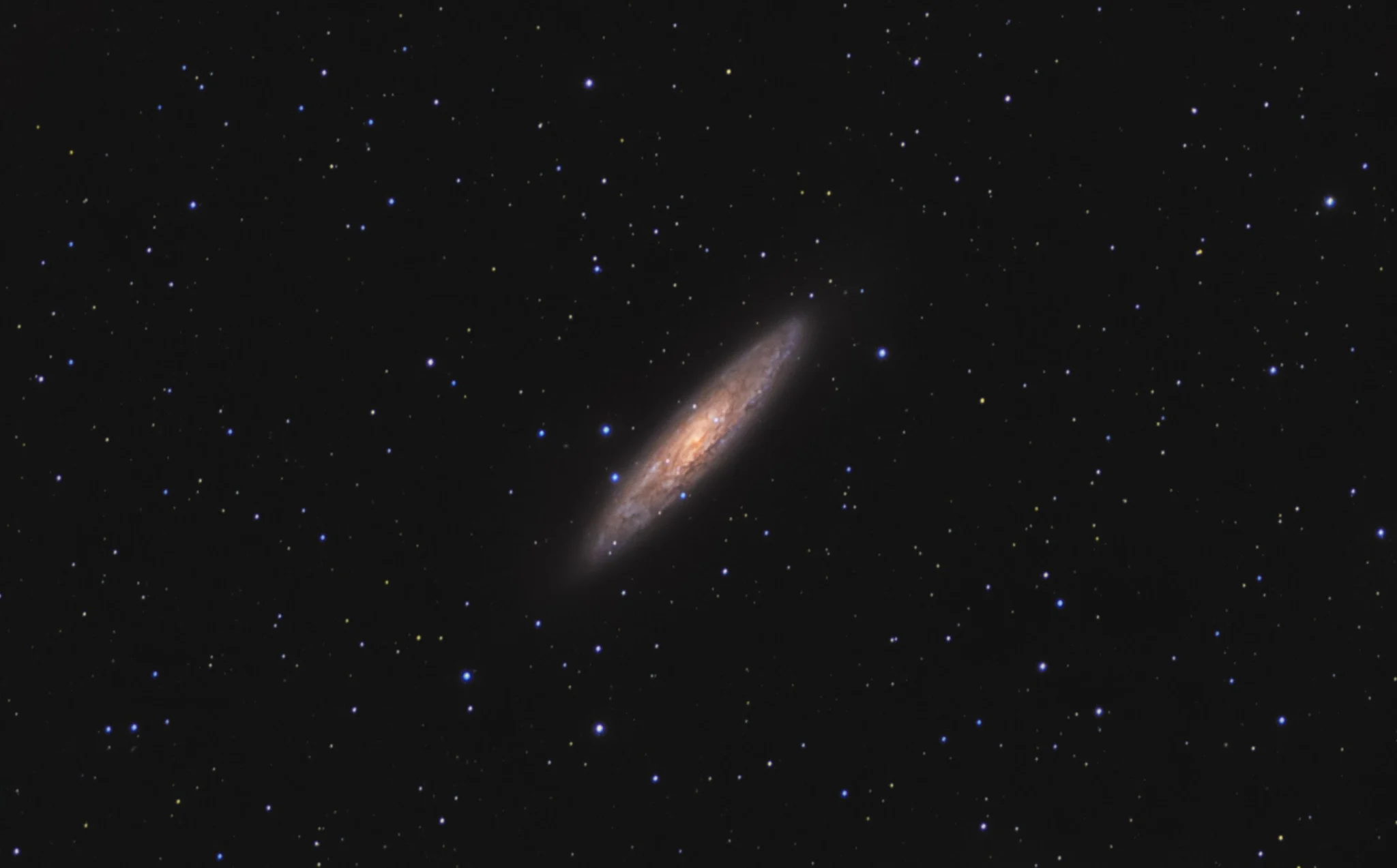 Sculptor Galaxy — Adam Krypel