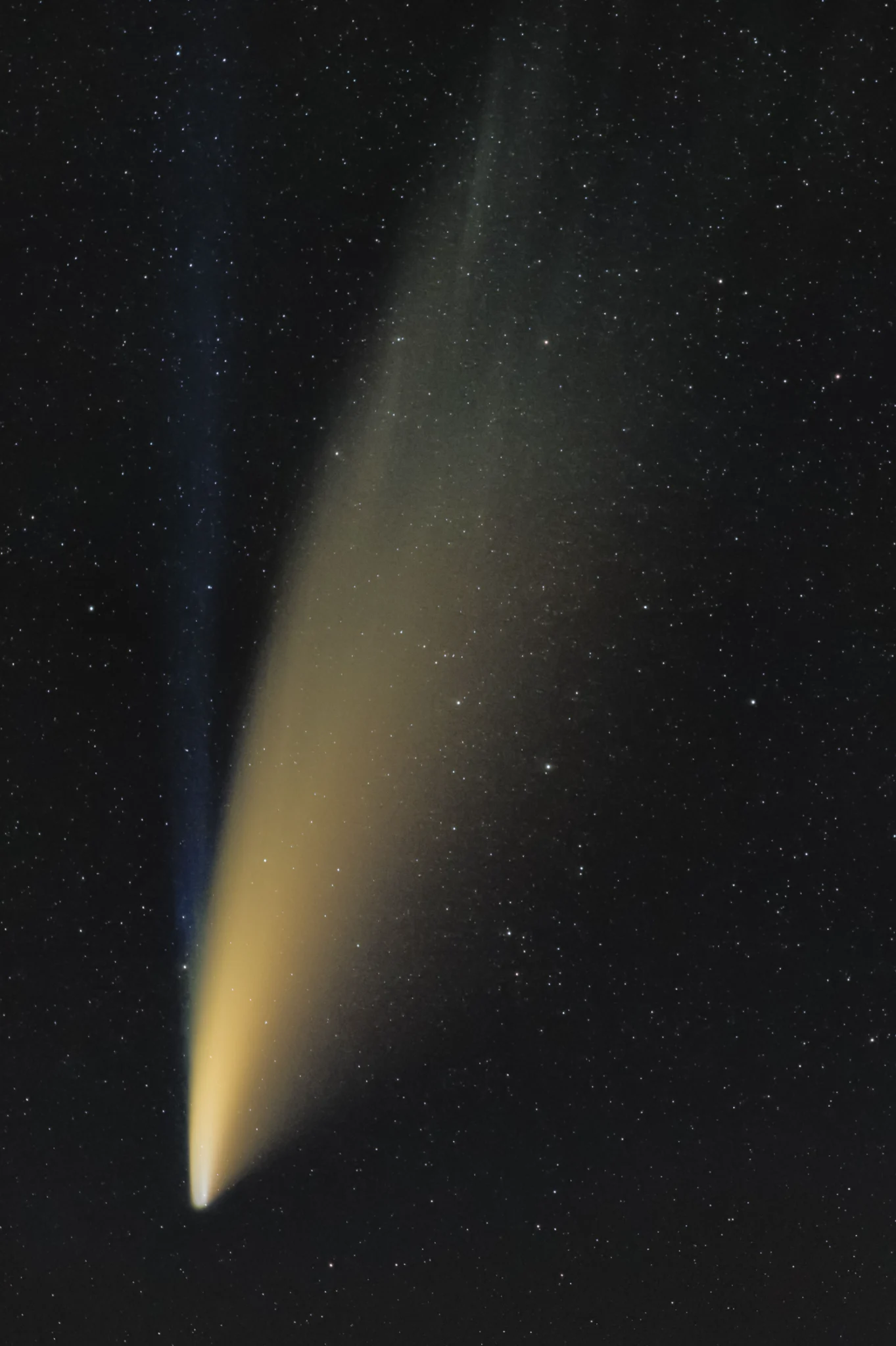Comet NEOWISE — Adam Krypel