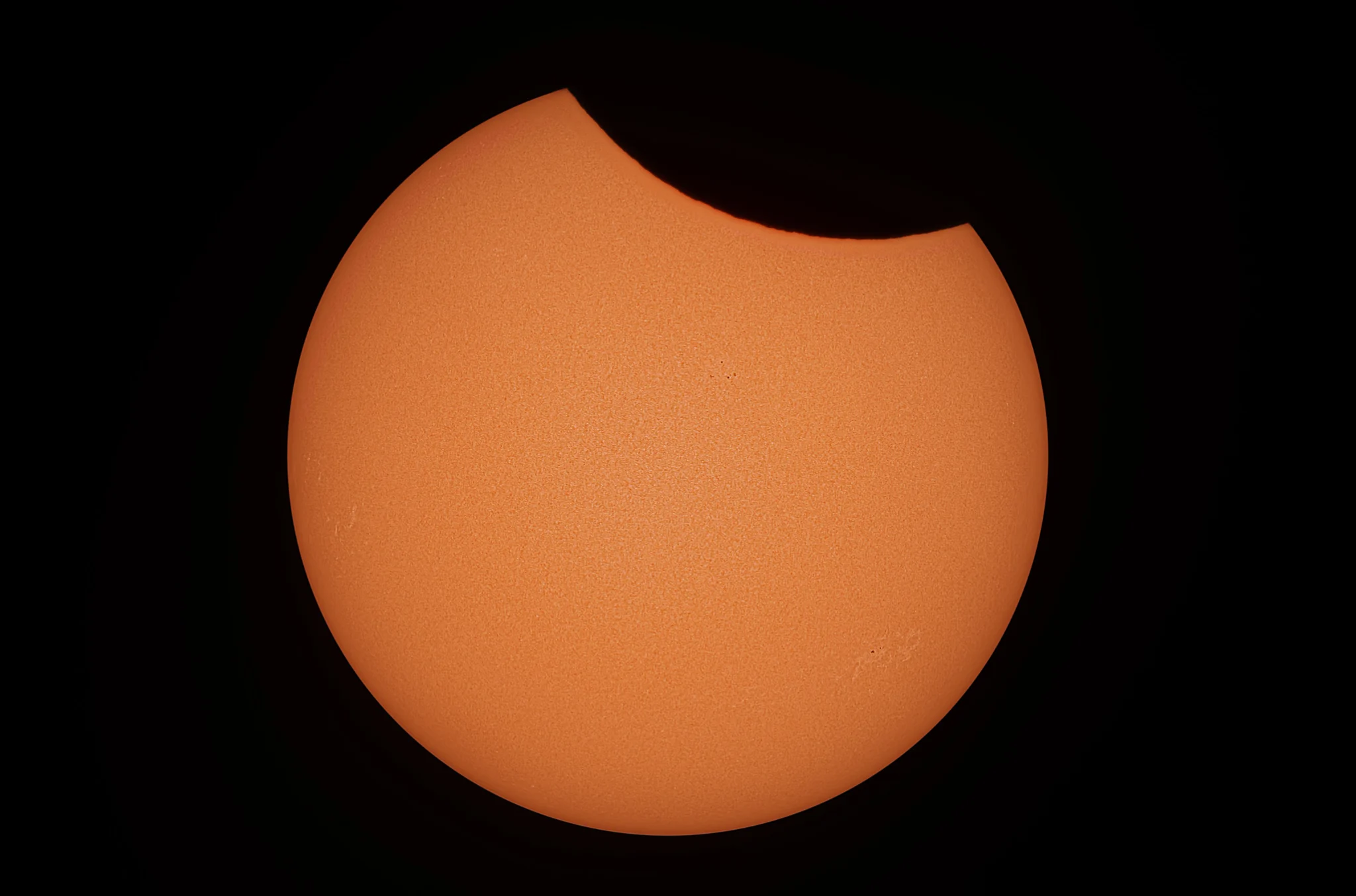 Partial Eclipse — Adam Krypel