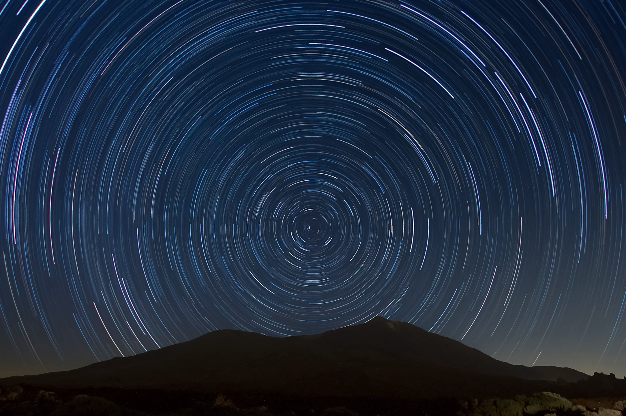 Star Trails — Adam Krypel