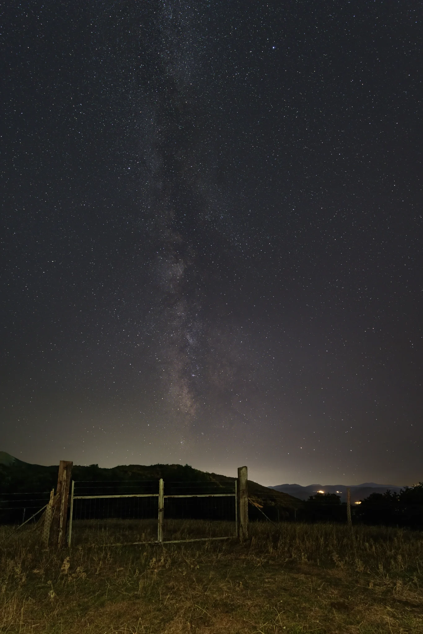 The Gate — Marco Milanesi