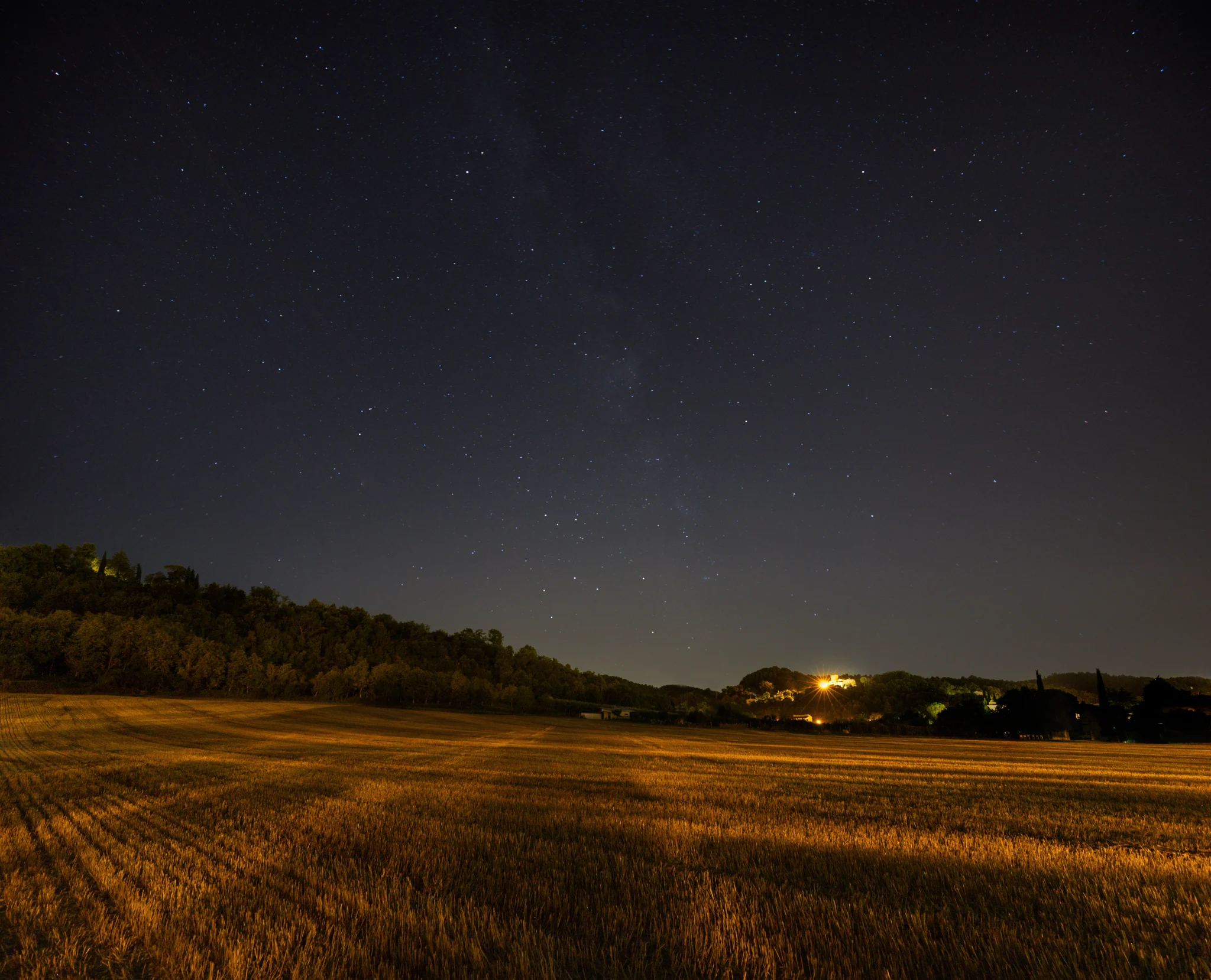 Stubble Field — Marco Milanesi