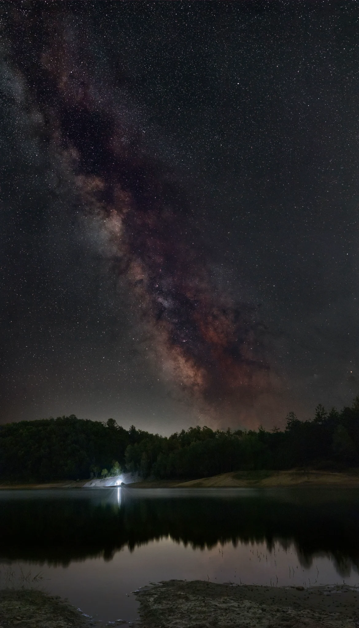 Torchlight — Marco Milanesi
