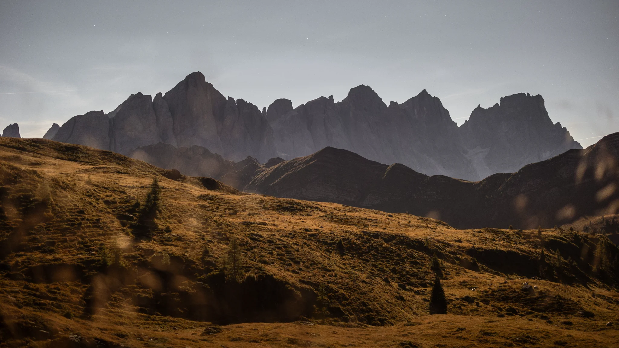Dry Grass — Marek Piwnicki