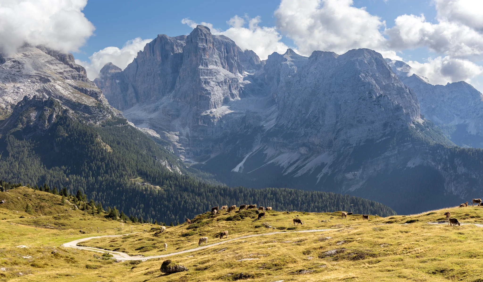High Pasture — Marek Piwnicki