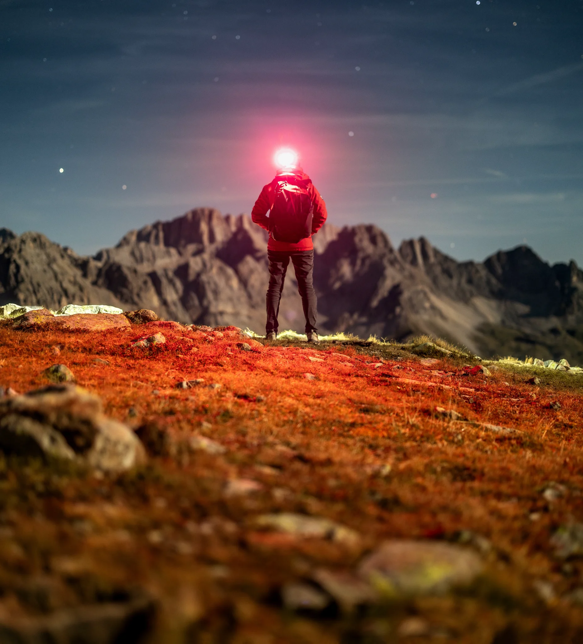 Red Light — Marek Piwnicki