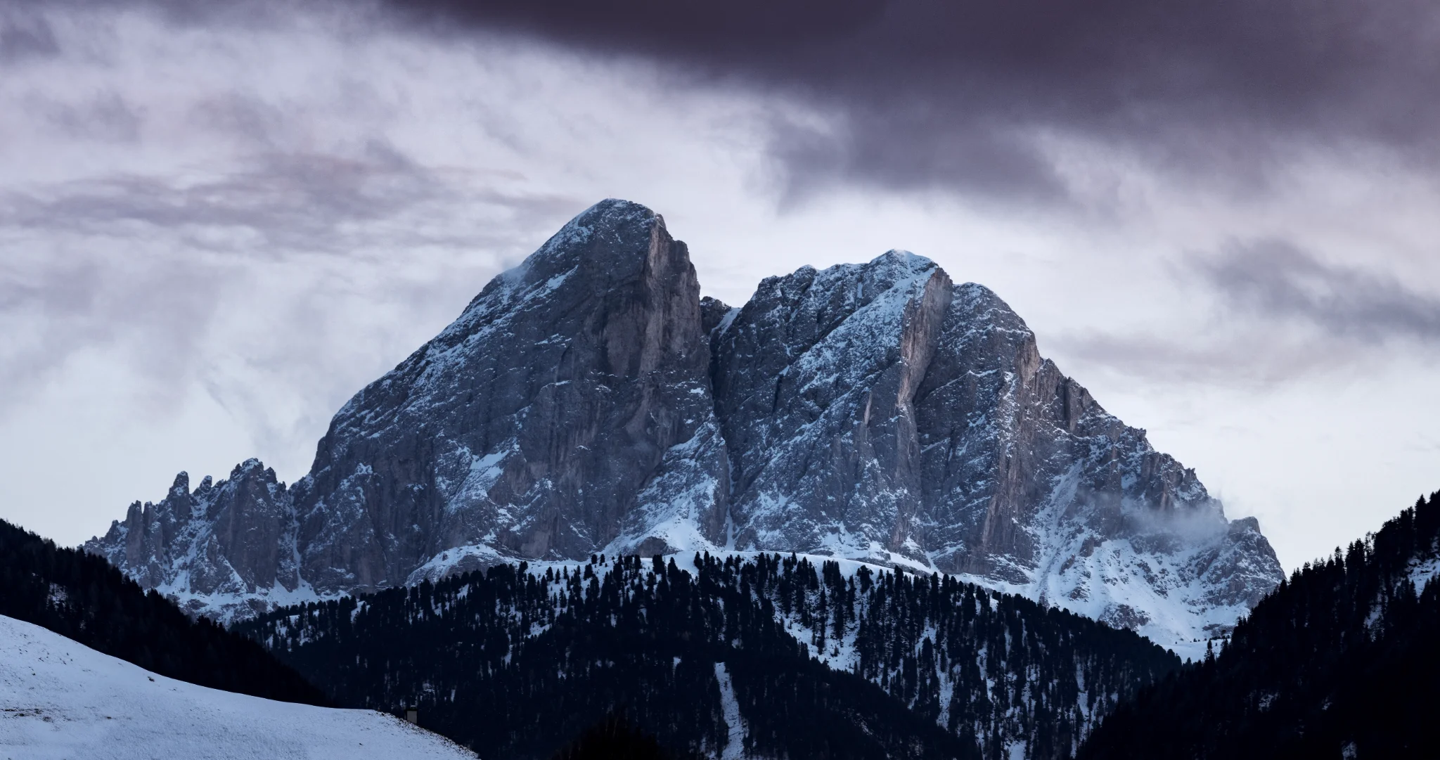 Winter Sentinel — Marek Piwnicki