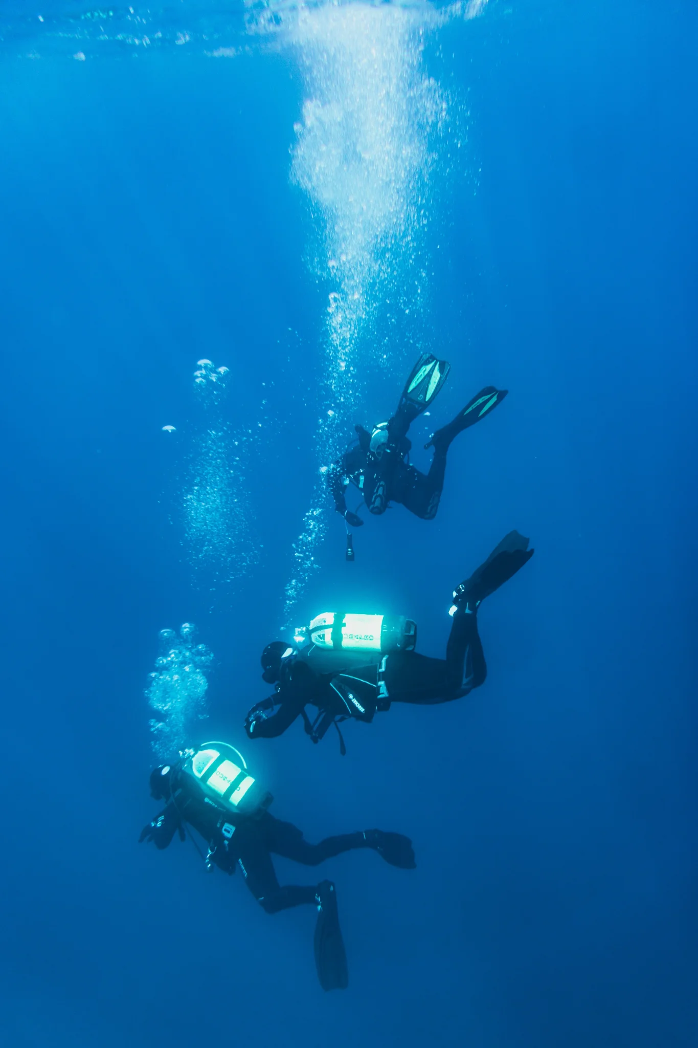 Three Divers — Pia Berčič