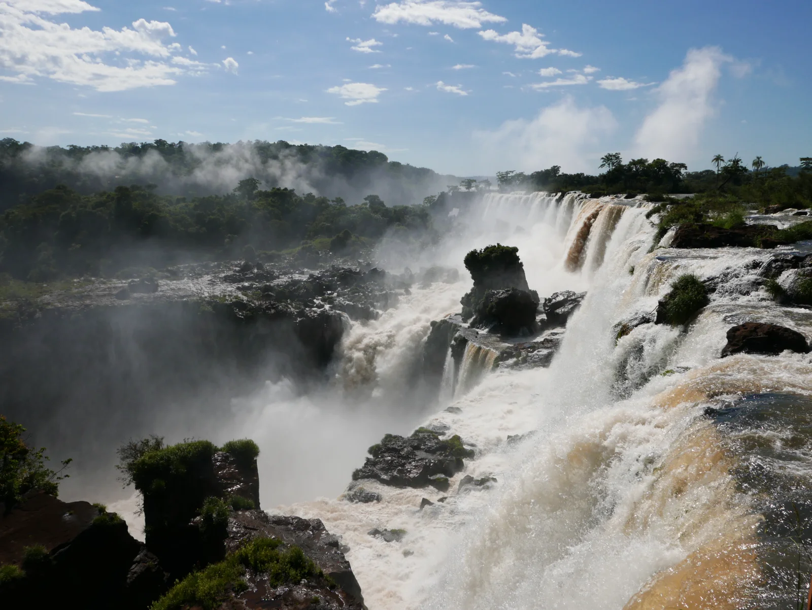 The Falls in the Forest — GAM