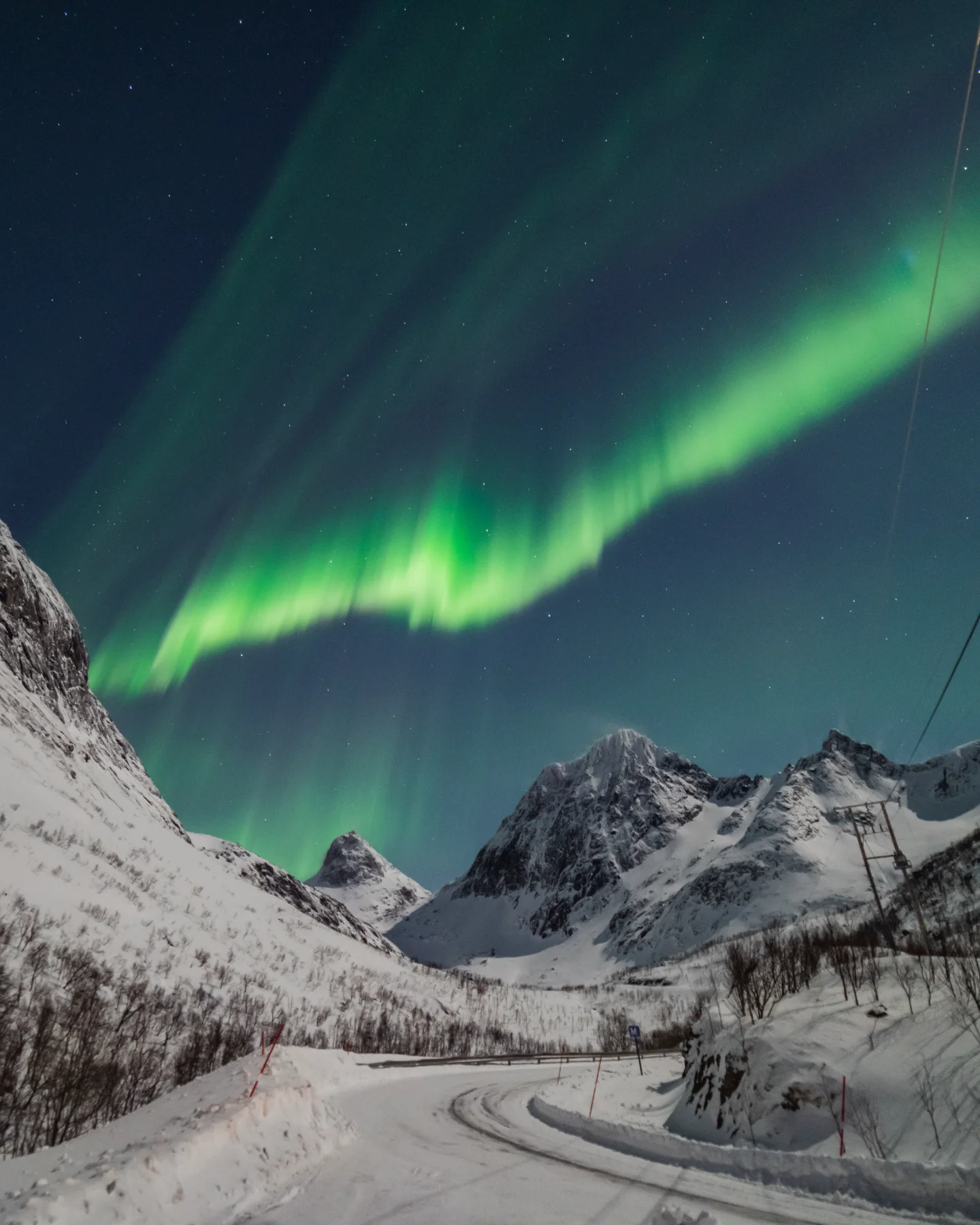 The Road Under the Lights — Tobias Bjørkli