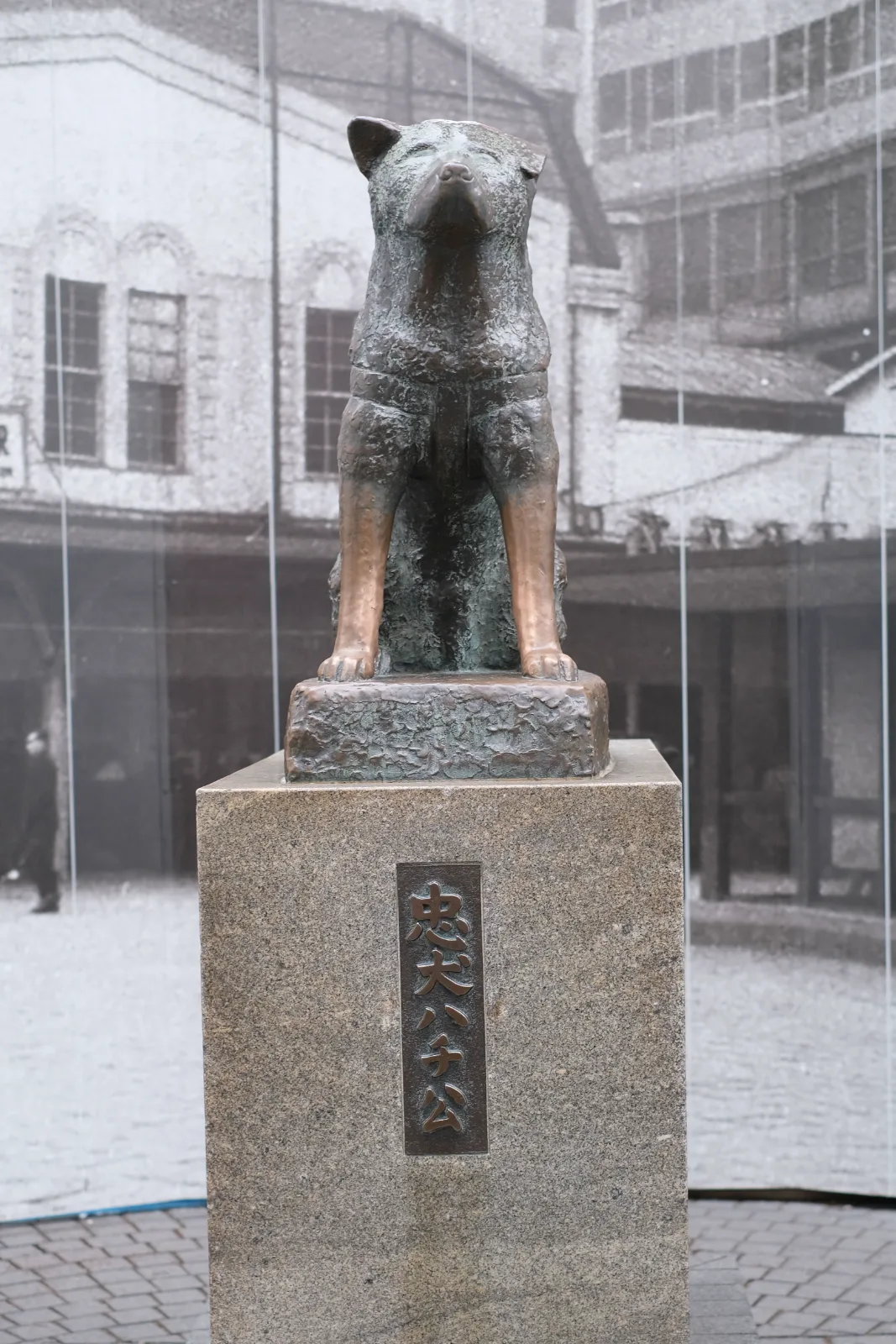 Hachikō — Vinny Anugraha