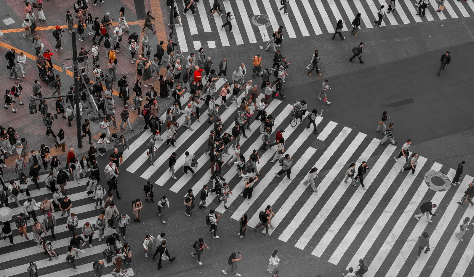 Shibuya Crossing — Vinny Anugraha