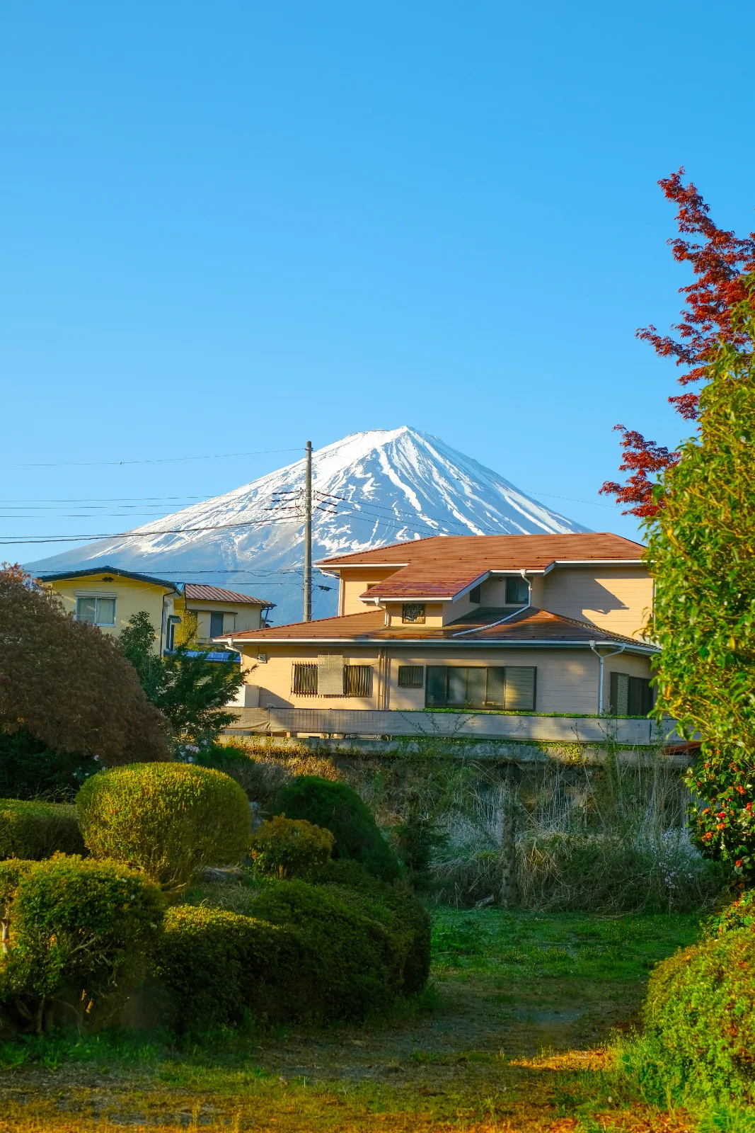 Fuji Above the Rooftops — Vinny Anugraha