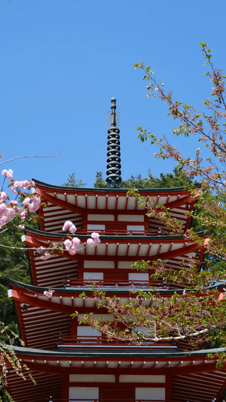 Chūreitō — Vinny Anugraha