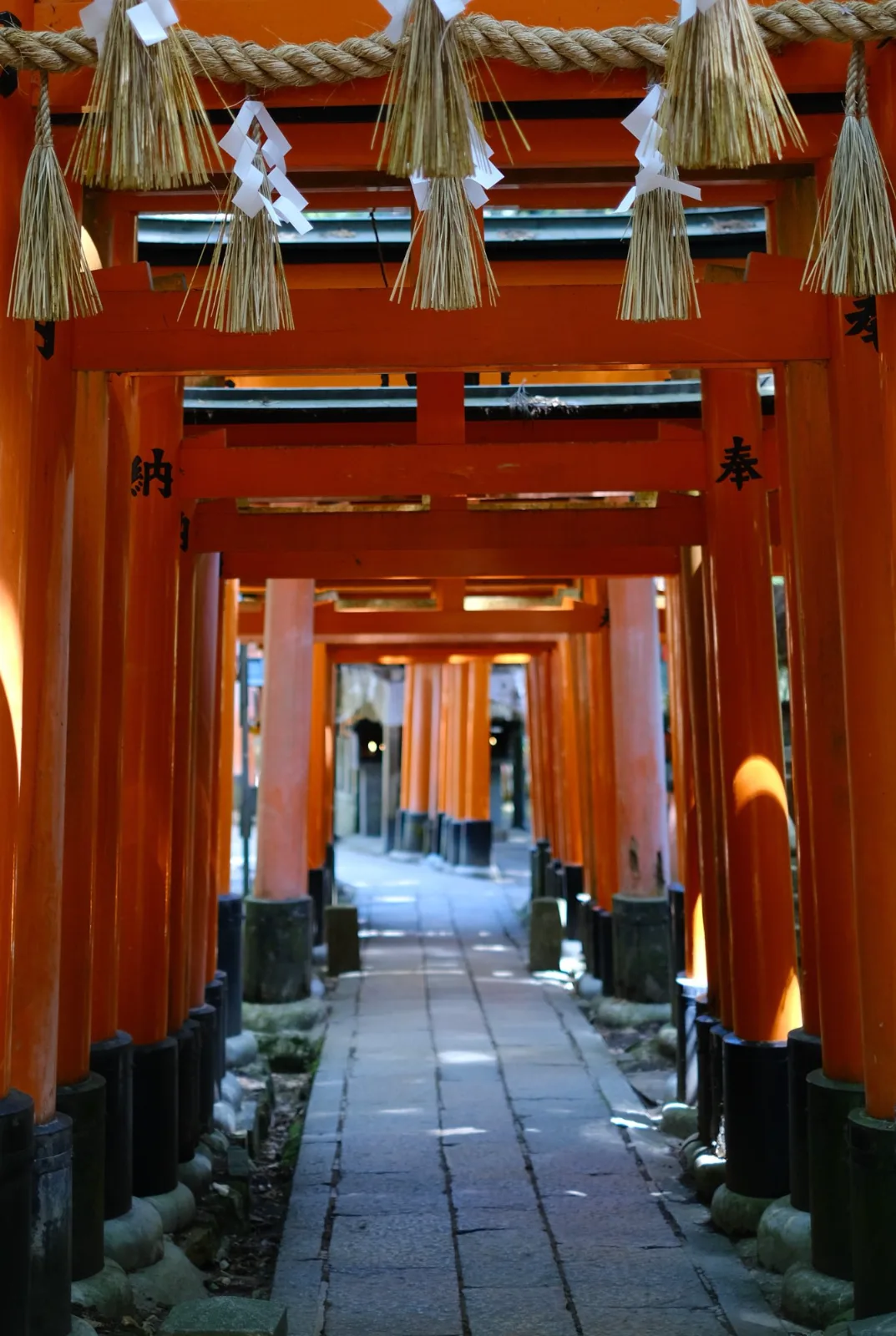 Senbon Torii — Vinny Anugraha
