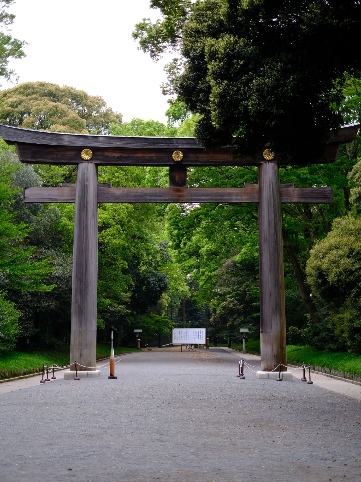 The Great Torii — Vinny Anugraha