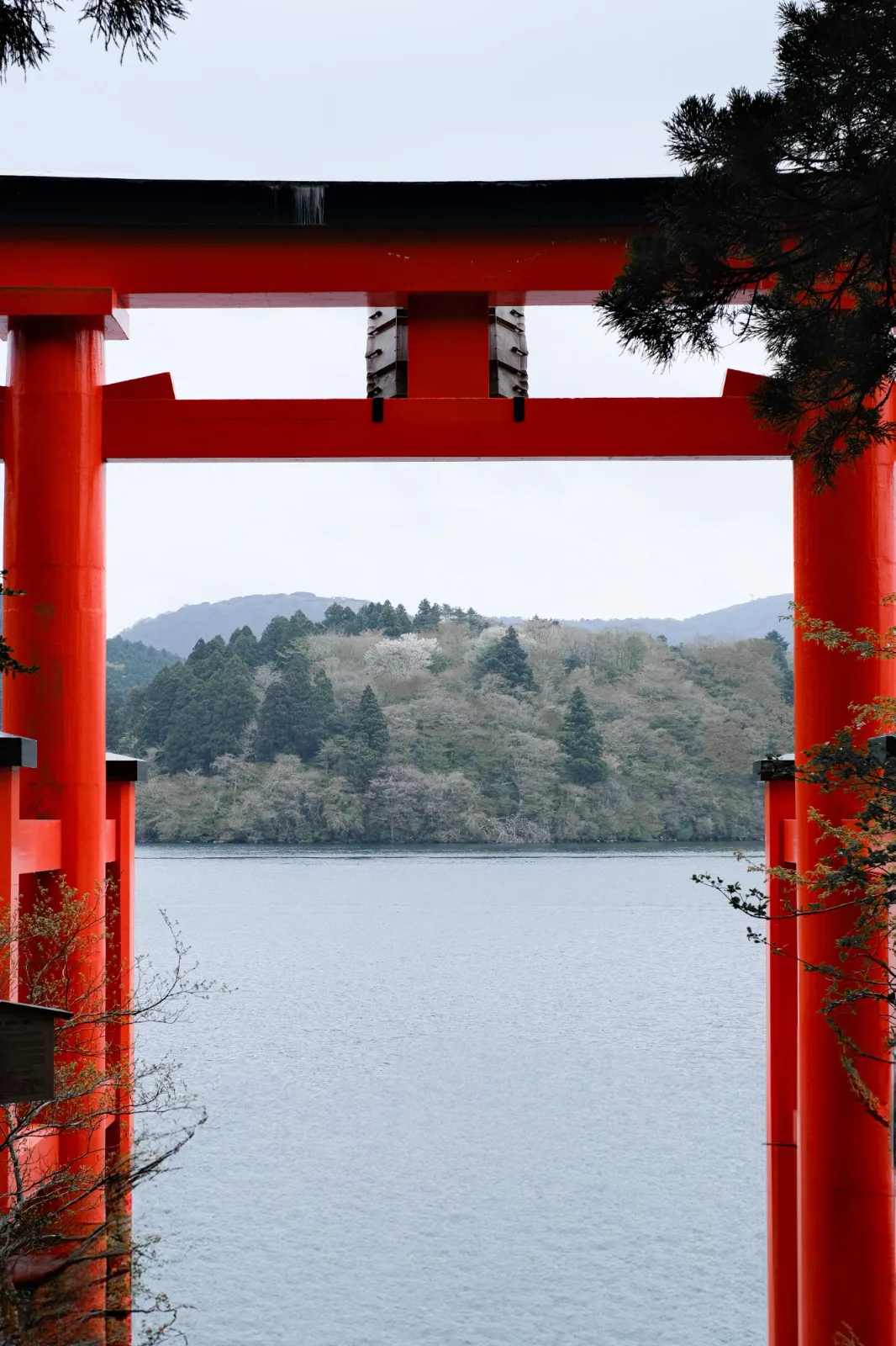 Torii of Peace — Vinny Anugraha